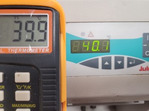 Thumbnail image of Julabo FL300 GB Refrigerated Recirculating Cooler Chiller Water Lab