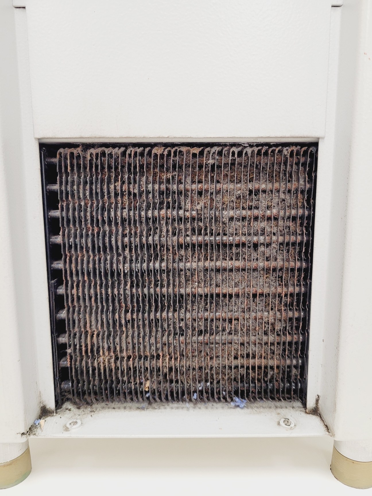 Image of Julabo FL300 GB Refrigerated Recirculating Cooler Chiller Water Lab