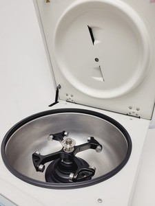 Thumbnail image of Thermo Fisher Scientific Sorvall ST 40 Benchtop Laboratory Centrifuge Lab