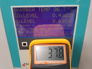 Thumbnail image of Heto Cellhouse 170 HI  Model 170-300 CO2 Laboratory Incubator Lab