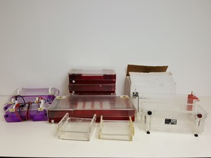 Thumbnail image of Lot of Gel Electrophoresis Units/Trays/Combs - Scotlab H2020, Geneflow GFH6070