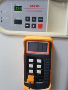 Thumbnail image of Sanyo C02 Laboratory Incubator Model - MCO-17 AIC Lab