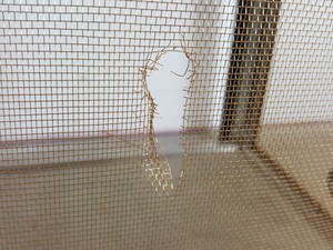 Thumbnail image of Faraday Cage EMF Block 85x76x130cm LWH Lab