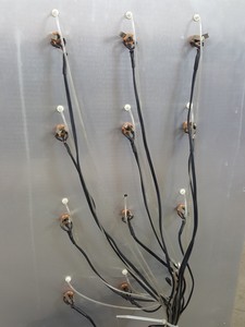 Thumbnail image of IITC Life Sciences Rat & Mouse Blood Pressure System - 312, 20NW, 65-12 lab
