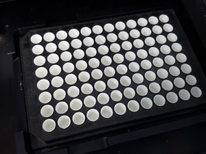 Thumbnail image of Anthos Labtec Microplate Reader  Rosys Anthos Lucy 1  Type - 16 800 Lab