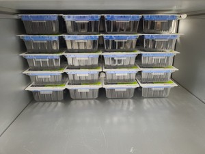Thumbnail image of Abbott M2000SP Liquid Handler RealTime Molecular Biology Analyser RT-PCR Lab