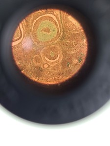 Thumbnail image of Zeiss 471202-9903 Inverted Binocular Microscope with 4 x Objectives ph 1 Lab