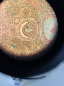 Thumbnail image of Zeiss Axioplan 2 Imaging Trinocular Microscope w/ 3,2/0,07  160/- Objective Lab