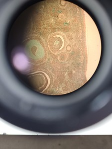 Thumbnail image of Nikon Diaphot Microscope System with 3 x Objectives Lab Spares/Repairs