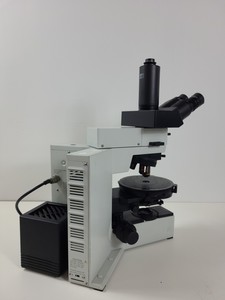 Thumbnail image of Olympus BX50 Fluorescence Microscope w/ 4 x Objectives - 10x/0.30 P, 4x/0.13 P 