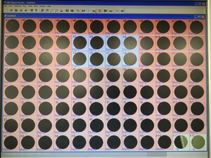Thumbnail image of AID Elispot ELR02 Plate Reader System with PC & Software Lab