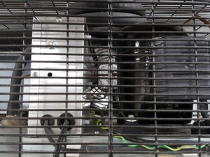 Thumbnail image of Thermo Scientific Laboratory Refrigerator/Fridge Model - R14X-GAEV-TS Lab Faulty