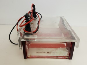 Thumbnail image of Biometra Standard Power Pack P25 & CompactM Gel Electrophoresis Units Lab