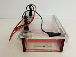 Thumbnail image of Biometra Standard Power Pack P25 & CompactM Gel Electrophoresis Units Lab