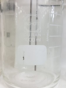 Thumbnail image of Miltenyi Biotec AutoMACS Cell Separator Model no. 003 Lab