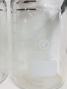 Thumbnail image of Miltenyi Biotec AutoMACS Cell Separator Model no. 003 Lab