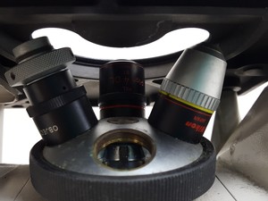 Thumbnail image of Nikon TMS Inverted Phase Contrast Microscope with 2 x Objectives Lab 