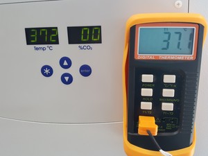 Thumbnail image of New Brunswick Galaxy 170 S CO2 Laboratory Incubator Model - CO170S-230-1000 Lab