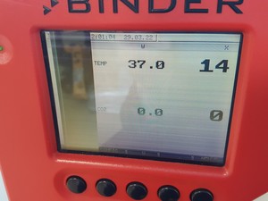 Thumbnail image of Binder CB 150 CO2 Laboratory Incubator  Lab - Faulty Screen