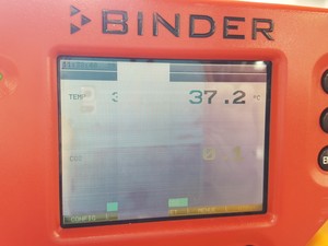 Thumbnail image of Binder Model CB 150 CO2 Laboratory Incubator Lab - Faulty Screen