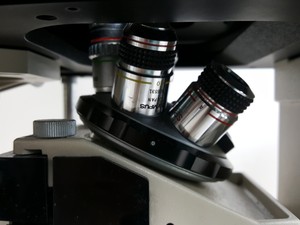 Thumbnail image of Olympus IMT-2 Microscope w/ 4 x Objectives - LWD CDPlan 40PL, 20PL,  SPlan 10PL