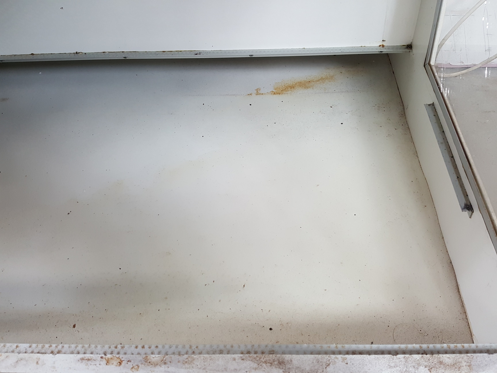 Image of Bioquell/MDH Laminar Flow Hood / Cabinet Clean-Air Lab