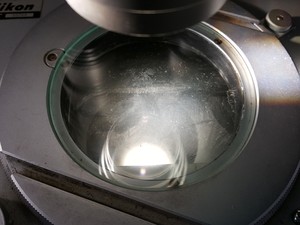 Thumbnail image of Nikon Profile Projector Model V-16D Lab 