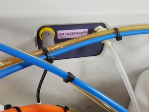 Thumbnail image of BD Biosciences FACSAria II Cell Sorter with Fluidics Cart and Buffalo Filter Lab