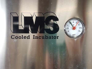Thumbnail image of LMS Model 600NP Free-Standing Cooled Incubator  Lab