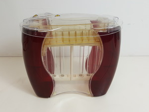 Image of item