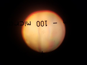 Thumbnail image of Zeiss Axioskop FS Fluorescence Microscope System & 3 x Objectives Lab  