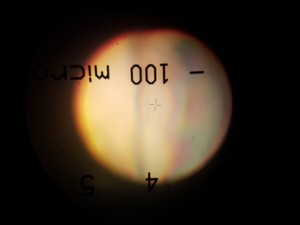 Thumbnail image of Zeiss Axioskop FS Fluorescence Microscope System & 3 x Objectives Lab  
