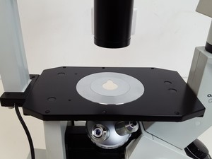 Thumbnail image of Olympus CKX41 Inverted Microscope w/ 2 x Objectives 20x/0.40 PhP  ∞/1/FN22 Lab