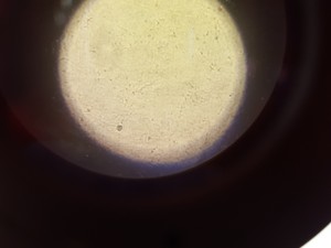 Thumbnail image of Olympus CKX41 Inverted Microscope w/ 2 x Objectives 20x/0.40 PhP  ∞/1/FN22 Lab