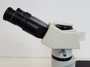 Thumbnail image of Olympus CKX41 Inverted Microscope w/ 2 x Objectives 20x/0.40 PhP  ∞/1/FN22 Lab