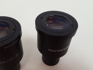 Thumbnail image of Olympus CKX41 Inverted Microscope w/ 2 x Objectives 20x/0.40 PhP  ∞/1/FN22 Lab