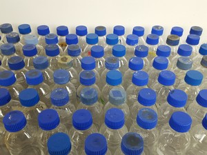 Thumbnail image of 185 x Glass Laboratory Bottles with Lids - 1000ml, 500ml, 250ml, 100ml, 50ml Lab