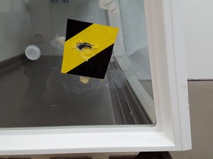 Thumbnail image of SCANLAF Mars 1200 Safety Class 2 Microbiological Safety Cabinet Lab