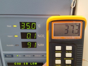 Thumbnail image of Thermo Electron Corporation Steri-Cult CO2 Incubator Model 3308 Lab