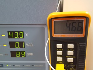 Thumbnail image of Thermo Electron Corporation Steri-Cult CO2 Incubator Model 3308 Lab