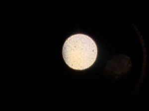 Thumbnail image of Carl Zeiss KF2 Microscope with 3 x Objectives - 10/0.22  160/- , Ph2  F40/0.65 