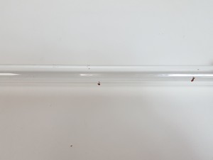 Thumbnail image of 7x Pharmacia Fine Chemicals Glass Chromatography Columns  1x22  1x37 5x107cm