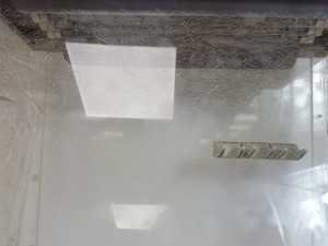 Thumbnail image of SCIE-PLAS UV Sterilization Cabinet  Model: GLE-UVSC Lab