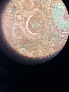 Thumbnail image of Leica DMRBE Fluorescence Trinocular Microscope & 4 x Objectives PL FLUOTAR Lab