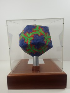 Thumbnail image of Model Display Replica of Rhinovirus - Common Cold Virus - A.T.O.M.