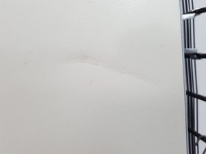 Thumbnail image of Sanyo Cooled Refrigerated Incubator MIR 254 Lab Spares/Repairs