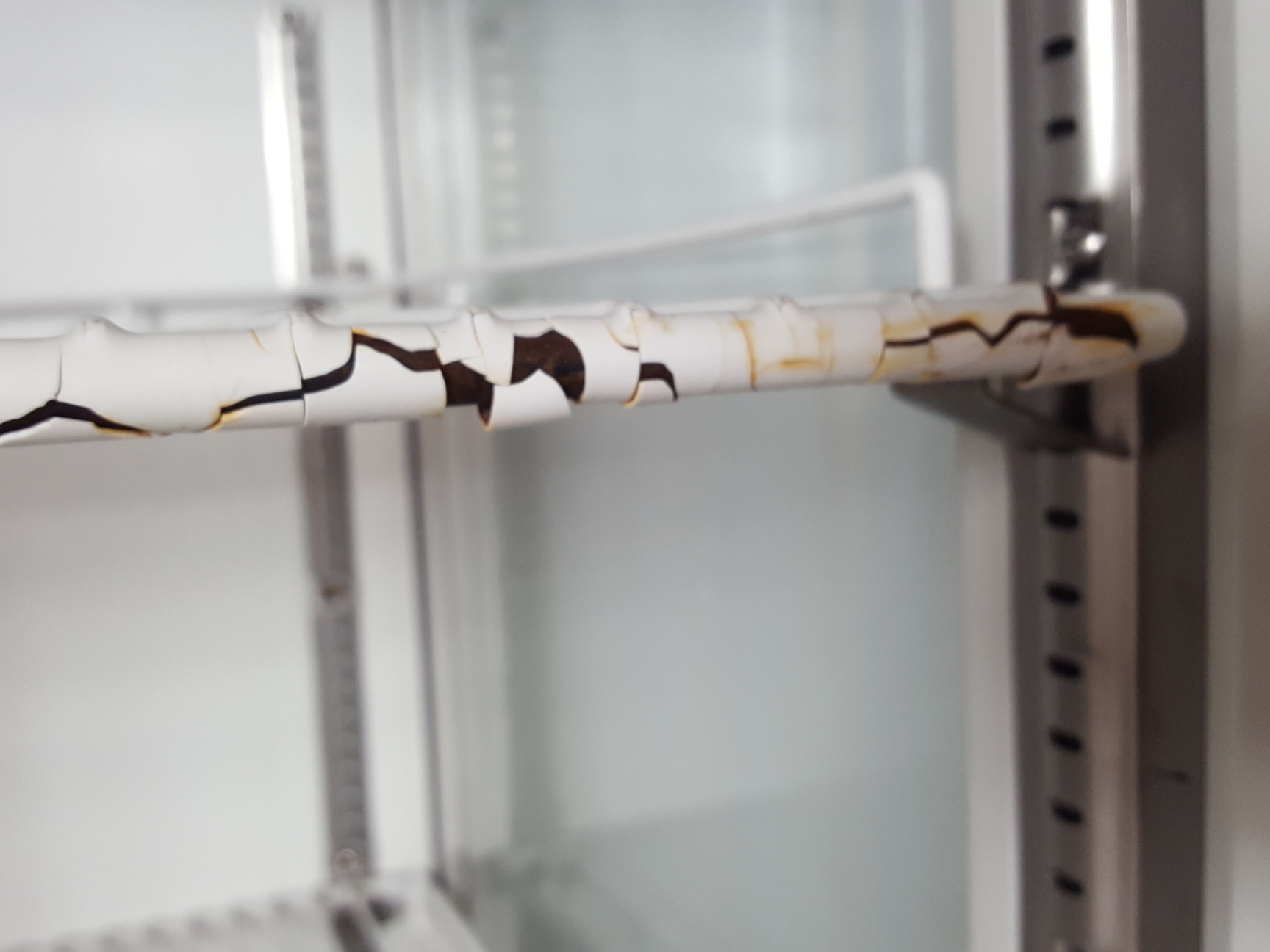 Image of Sanyo MLR-350  Growth Cabinet - Environmental Test Chamber Lab