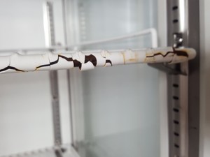 Thumbnail image of Sanyo MLR-350  Growth Cabinet - Environmental Test Chamber Lab