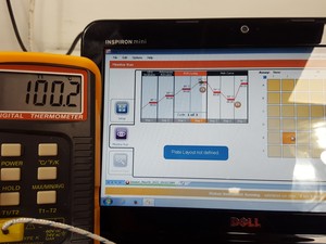 Thumbnail image of ECO Illumina Real-Time PCR System Lab 1010180