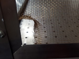 Thumbnail image of TMC Model 63-554 Vibration Isolation Optical Table with Faraday Cage Lab